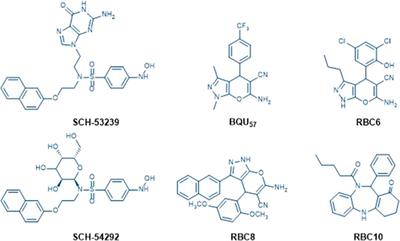 Design, Synthesis, and Biological Evaluation of Pyrano[2,3-c]-pyrazole–Based RalA Inhibitors Against Hepatocellular Carcinoma